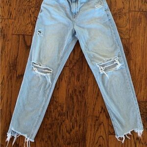 American Eagle Outfitters Light Blue mom Boyfriend Jeans